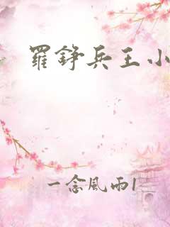 罗铮兵王小说