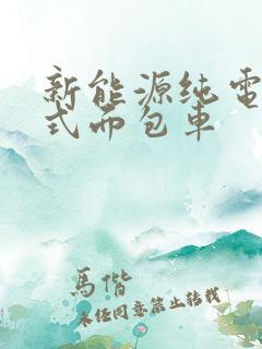 新能源纯电动厢式面包车