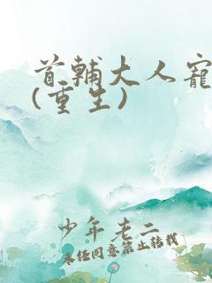 首辅大人宠妻录(重生)