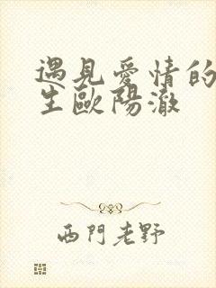 遇见爱情的利先生欧阳澈