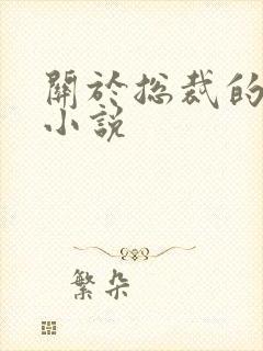 关于总裁的言情小说
