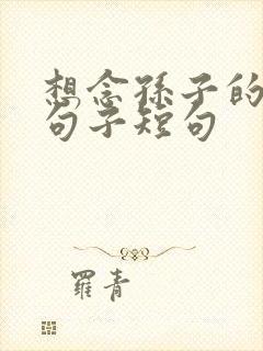 想念孙子的经典句子短句