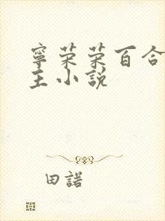 宁荣荣百合双女主小说