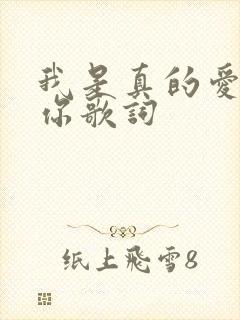 我是真的爱上了你歌词