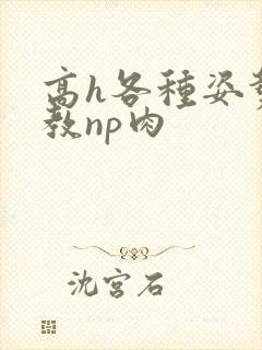 高h各种姿势调教np肉 高h各种姿势调教np肉
