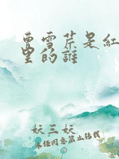 曹雪芹是红楼梦里的谁