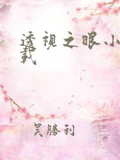 透视之眼小说下载