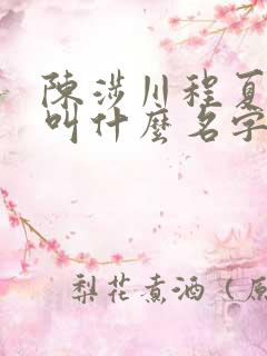 陈涉川程夏小说叫什么名字