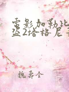 电影加勒比女海盗2塔格尼蒂的复仇在线播放