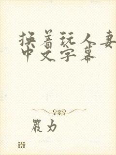 换着玩人妻hd中文字幕
