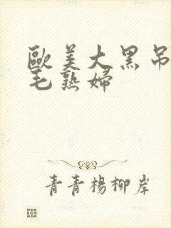 欧美大黑吊操无毛熟妇