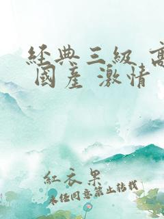 经典三级 高清 国产 激情