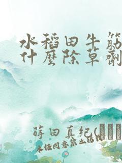 水稻田牛筋草用什么除草剂