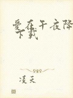 爱在午夜降临前 下载