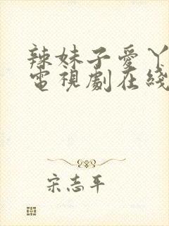 辣妹子爱丫爱丫电视剧在线观看