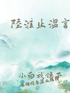 陆淮止温言溪