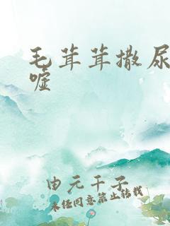 毛茸茸撒尿嘘嘘嘘