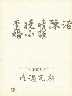 李晓晴陈浩然军婚小说