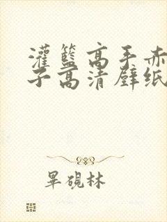 灌篮高手赤木晴子高清壁纸