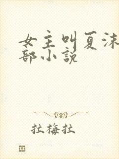 女主叫夏沫的全部小说