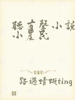 听有声小说至尊小农民