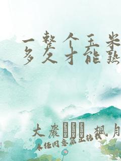 一整个玉米要煮多久才能熟