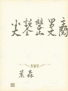 小说双男主免费大全正文阅读同人文