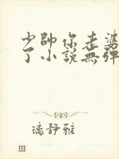 少帅你老婆又跑了小说无弹窗