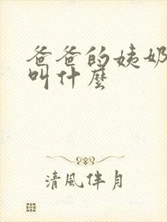 爸爸的姨奶奶我叫什么