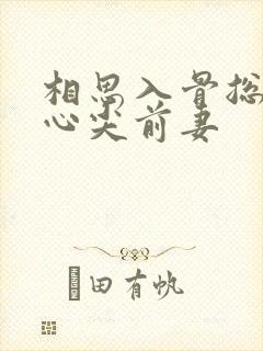 相思入骨总裁的心尖前妻