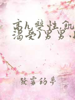 高h,双性,饥渴受)男男小说