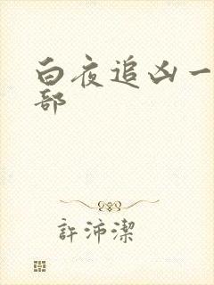 白夜追凶一共几部