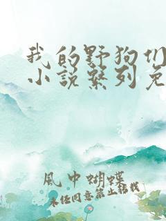 我的野狗们老公小说系列免费阅读