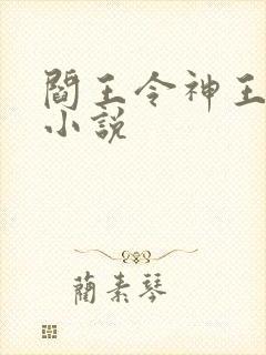 阎王令神王令的小说