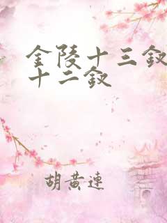 金陵十三钗还是十二钗