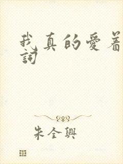 我真的爱着你歌词