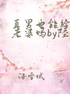 直男也能给人当老婆吗by陆酌言笔趣阁