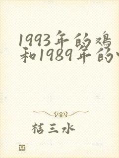 1993年的鸡和1989年的蛇婚姻