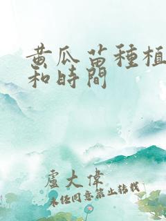 黄瓜苗种植方法和时间
