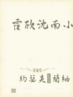 霍欣沈南小说