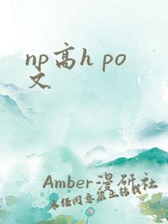 np高h po文