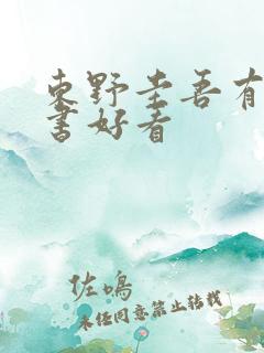 东野圭吾有哪些书好看