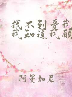 找不到爱我的人我知道我愿意再等是什么歌