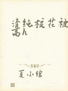 清纯校花被调教高h