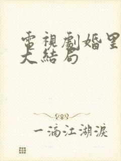 电视剧婚里婚外大结局