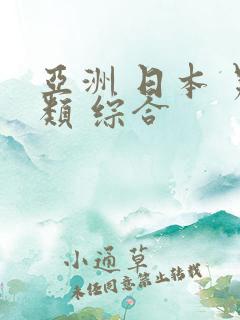 亚洲 日本 另类 综合