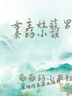 女主姓苏男主姓秦的小说