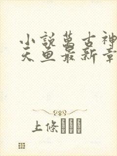 小说万古神帝飞天鱼最新章节目录