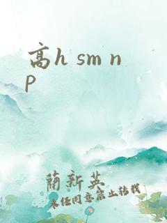 高h sm np