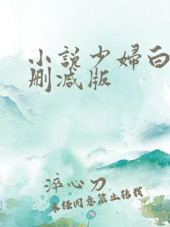 小说少妇白洁无删减版